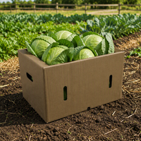 Boîte en carton ondulé RSC découpée sur mesure pour produits frais, emballage pour choux, produits agricoles
