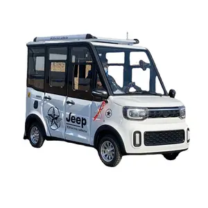 Custom Service Wheelchair Vehicle handicapped products Electric Vehicle electric cars for disabled people