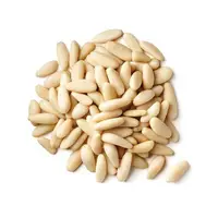 Raw Pine Nuts with Certificate in Turkey