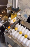 Machine automatique à former des boulettes de pâte en spirale, machine à faire des boulettes de fromage, machine à diviser et arrondir la pâte pour boulangerie