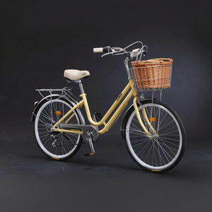 Vélo <span class=keywords><strong>de</strong></span> <span class=keywords><strong>ville</strong></span> urbain pour femmes avec une seule vitesse, fourche en acier, vélo <span class=keywords><strong>de</strong></span> 26 pouces, <span class=keywords><strong>prix</strong></span> d'usine, pour dames - Product Image 1