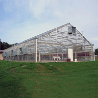 Systèmes de serres personnalisables de grande taille et haute performance pour l'agriculture moderne, solutions complètes