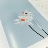 Livre à couverture souple avec reliure agrafée, impression couleur, plastification, impression personnalisée, papier couché offset, cartons d'exportation, vente en gros YYDJ