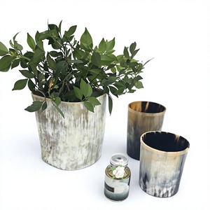 Porte-plantes artisanal en corne de buffle, récipient décoratif rustique rond pour la décoration de la maison, artisanat naturel écologique - Product Image 1