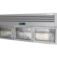 Réfrigérateur-congélateur combiné 2 sections, congélateur en bas, refroidisseur en haut, double température -18°C -25°C, acier inoxydable 304, 5000-10000W