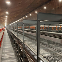 Sistema de Control Inteligente de Iluminación LED para Aves de Corral con Temporizador, para Granjas Avícolas