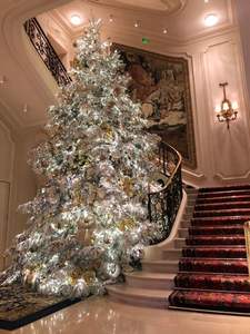 Árbol <span class=keywords><strong>de</strong></span> Navidad <span class=keywords><strong>de</strong></span> primera calidad, árbol <span class=keywords><strong>de</strong></span> Navidad artificial <span class=keywords><strong>de</strong></span> abeto canadiense con cuerpo <span class=keywords><strong>y</strong></span> soporte <span class=keywords><strong>de</strong></span> metal, ligero <span class=keywords><strong>y</strong></span> fácil <span class=keywords><strong>de</strong></span> montar - Product Image 2