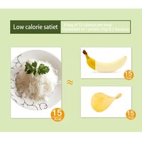 Instant Handmade Konjac Noodles Japanese Shirataki Pasta Organic Low Carb Keto