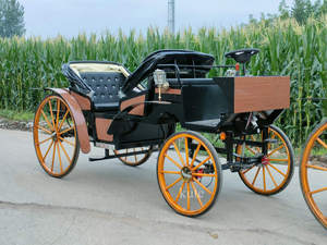 Carruaje Eléctrico Turístico para Puntos Turísticos, Carruaje Retro con Estilo de Carruaje de Caballos para Recorridos Urbanos y Transporte de Turistas en Zoológicos - Product Image 5
