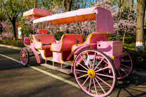 Carruaje Rosa Calabaza <span class=keywords><strong>Cenicienta</strong></span> Carruaje de película Carruaje de caballos blancos Fabricante - Product Image 4