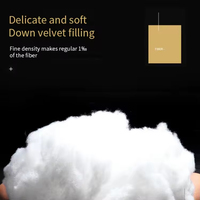 Oreillers de lit 100% coton de qualité hôtelière personnalisée avec oreiller cervical en fibre de polyester pour hôtel