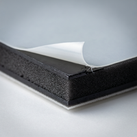 Pads adhésifs double face pour plaques d'immatriculation 90mm 20mm 2mm