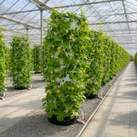 Tour de culture verticale aéroponique et hydroponique agricole avec éclairage LED pour la culture de fraises, laitues, herbes et légumes