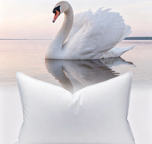 Luxury Feather Down <strong>Throw</strong> Pillow Inserts 26x26 Set of 2, Soft <strong>Cushion</strong> for Sofa Bed with Cotton Cover - Product Image 1
