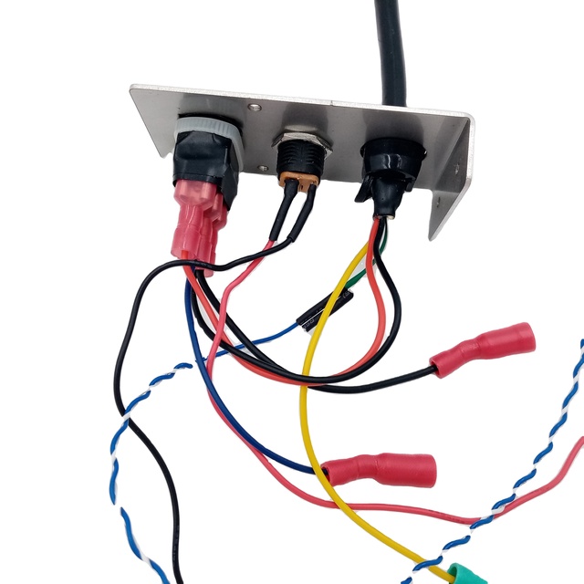 Factory Customized Wire Harness connectors with flag terminals