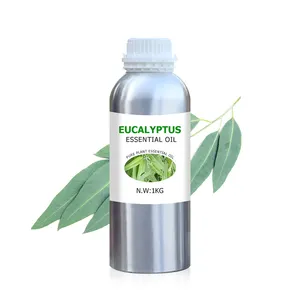 Hersteller liefern heißen Verkauf von hochwertigem ätherischem Eukalyptusöl für die Kerzen herstellung Körperpflege