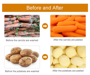 Hochwertige automatische Bürsten wasch schälmaschine für Aloe Vera/Kaktus/Maniok/Ingwer/Karotte/Kartoffel-Wurzelgemüse schäler - Product Image 4