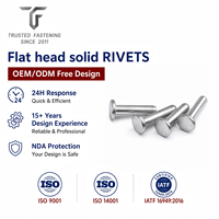 Rivets plats personnalisés TianFang pour contacts de commutateurs électriques, cuivre étamé, conception OEM ODM et approvisionnement en gros