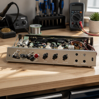 Kits d'amplificateurs à tubes à vide professionnels Mable Audio 5E3