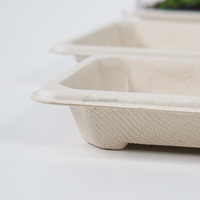Assiette à sushi en bagasse de canne à sucre de qualité supérieure, logo personnalisé, plateau de service biodégradable de qualité alimentaire pour la restauration japonaise et la promotion de marque