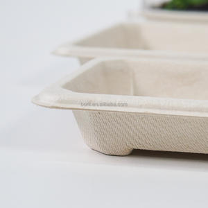 Assiette à sushi en bagasse de canne à sucre de qualité supérieure, logo personnalisé, plateau de service biodégradable de qualité alimentaire pour la restauration japonaise et la promotion de marque - Product Image 5