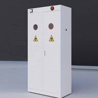Armoire à bouteilles de gaz en acier à chaîne fixe interne de style industriel, ignifuge et sécurisée, avec alarme, pour deux bouteilles inflammables