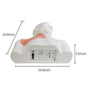 Modelo <span class=keywords><strong>de</strong></span> Entrenamiento para Acceso Venoso Central Guiado por Ultrasonido Scalptek IG017-S1, Cabeza, <span class=keywords><strong>Cuello</strong></span> y Hombros Completos, <span class=keywords><strong>Vasos</strong></span> IJV, Subclaviarios y Axilares - Product Image 2