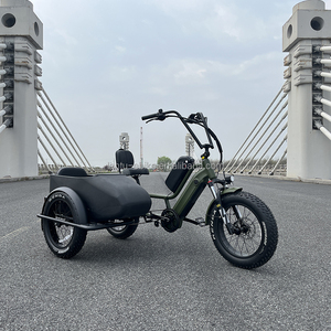 <span class=keywords><strong>Vélo</strong></span> cargo familial à assistance électrique 48v à double batterie, <span class=keywords><strong>vélo</strong></span> électrique à 3 roues avec <span class=keywords><strong>side</strong></span>-<span class=keywords><strong>car</strong></span> - Product Image 1
