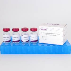 Kit per il Test dell'agglutinazione della Salmonella Abortus Equi | Reagente diagnostico veterinario ad alta specificità per l'aborto equino - Product Image 1