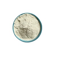 CiYuan Factory Supply Extrait de Garcinia Cambogia en poudre Acide hydroxycitrique (HCA) 40% 50% 60%
