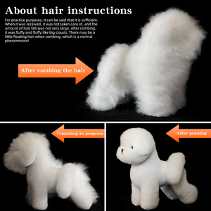 Modelo de práctica de peluquería canina Bichon, esqueleto para competición y enseñanza, altura del hombro 28 cm, para práctica de esteticista canina y estudiante de peluquería. - Product Image 5