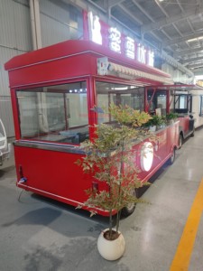 Camión de Comida con Certificación CE 2026, Carrito de Helados Enrollados Congelados para Servicio de Snacks, en Venta - Product Image 4