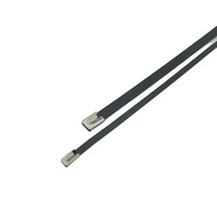Hochwertige T Typ SS 304 Kabelbinder Ss beschichtet 150mm x 7mm