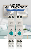 Interrupteur intelligent Wi-Fi réglable Tuya Smart Life 1-63A avec minuterie et protection contre les surcharges