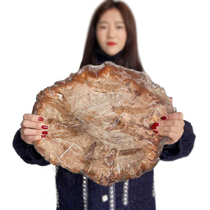 Grande plaque de cristal fossile brun naturel écologique de 30-40 cm, polie, pour la décoration artistique et les objets de collection - Product Image 5