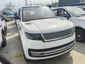 Auto Eléctrico de 4 Ruedas de Alta Calidad y Bajo <span class=keywords><strong>Precio</strong></span>, L1, Perfecto para Viajes Cortos, Vehículo de Nueva Energía, Gran Venta - Product Image 2