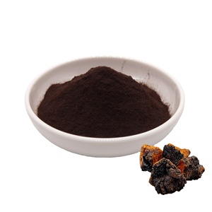 블랙 골드 차가 버섯 추출물 분말 다당류 30% 50% 베타 글루칸 - Product Image 1