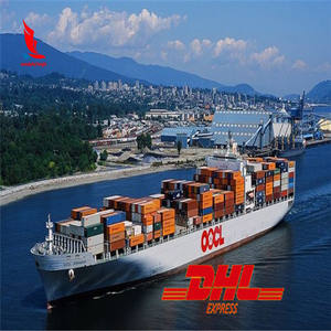 Spedizione DHL Express Internazionale Consegna Porta a Porta per Brasile Sri Lanka Colombia Perù - Product Image 6