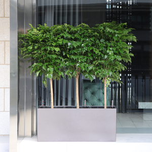 Maceta y macetas grandes y altas de Venta caliente, maceta rectangular para plantas de flores para jardín y patio, moderna () - Product Image 2