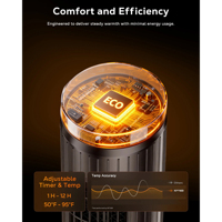 Chauffage d'appoint PTC 2000W Hiver avec télécommande, ventilateur électrique, radiateur tour en céramique et effet flamme