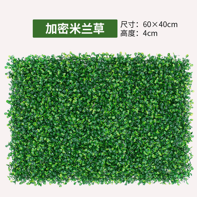 หญ้ามิลานเข้ารหัส