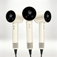 Sèche-cheveux de voyage électrique à succès, moteur ionique DC 110 000 tr/min, 1600W, haute vitesse, avec diffuseur et lisseur, pour usage domestique et hôtelier