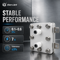 Cellule à hydrogène de 100 ml, moteur à eau pure, pile PEM, alimentation par gravité, garantie 1 an, 110V/220V, pour petits systèmes industriels de production de gaz