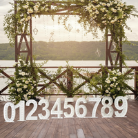 Lettres et chiffres lumineux LED pour mariage, anniversaires, publicité et décoration, alimentés par courant continu
