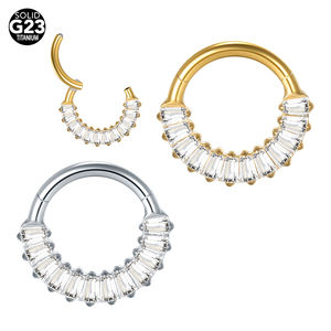 Anillo de segmento con bisagras de titanio personalizado, pendientes de aro de cartílago de circón, Color dorado, lóbulo del tabique Daith Rook, para el cuerpo Piercing, joyería - Product Image 1