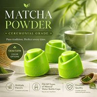 WELLBODY OEM Capsules de Matcha Personnalisées en Gros avec Poudre de Matcha Instantanée pour Boisson 2g/Capsule Bouteille Capsules de Poudre Aromatisées