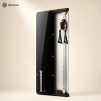 Appareil de musculation fonctionnel mural pour la maison, machine à câbles compacte pour salle de sport à domicile, pile de poids de 30 kg, plus de 100 exercices, noir piano