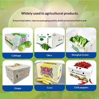 Boîte de rangement en plastique ondulé recyclable PP pour légumes, fruits, graines, riz et emballage d'aliments pour animaux