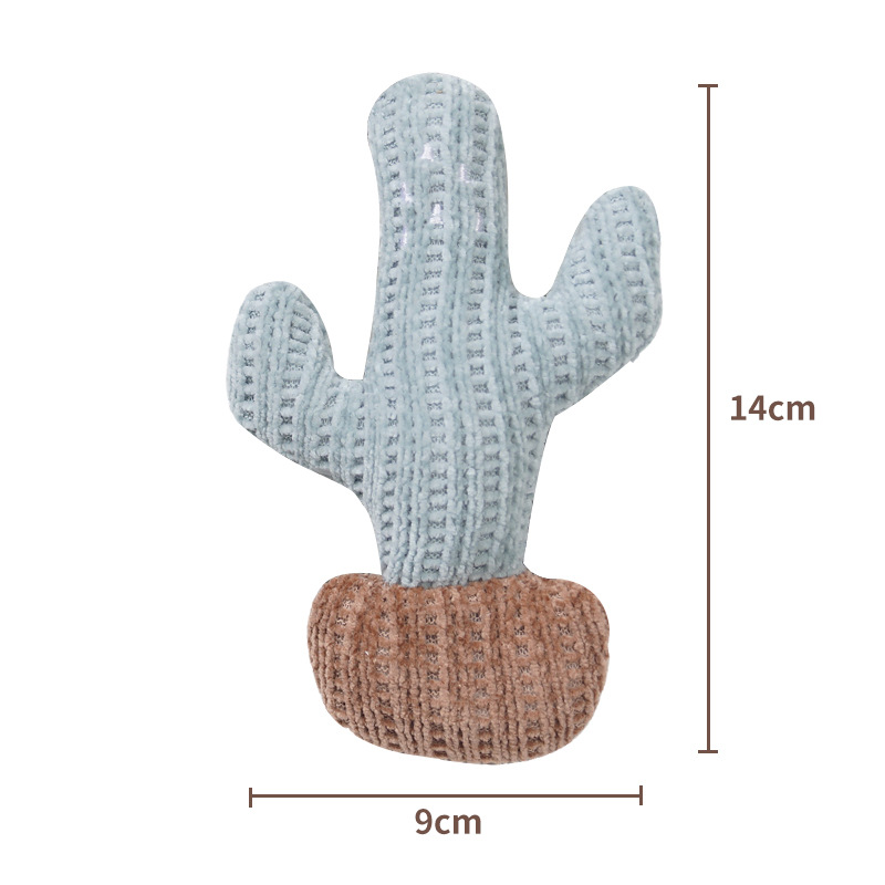 Shegel - Cactus