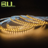 Ruang SMD 2835 120 Leds 2700K 24VSmart Strip lampu IP20 hangat putih Led fleksibel lampu Led